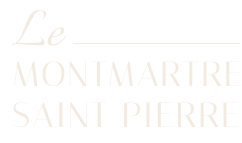 Hôtel Le Montmartre Saint Pierre Homepage